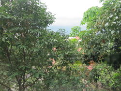Fifty-Two Stevens (D10), Apartment #153375352